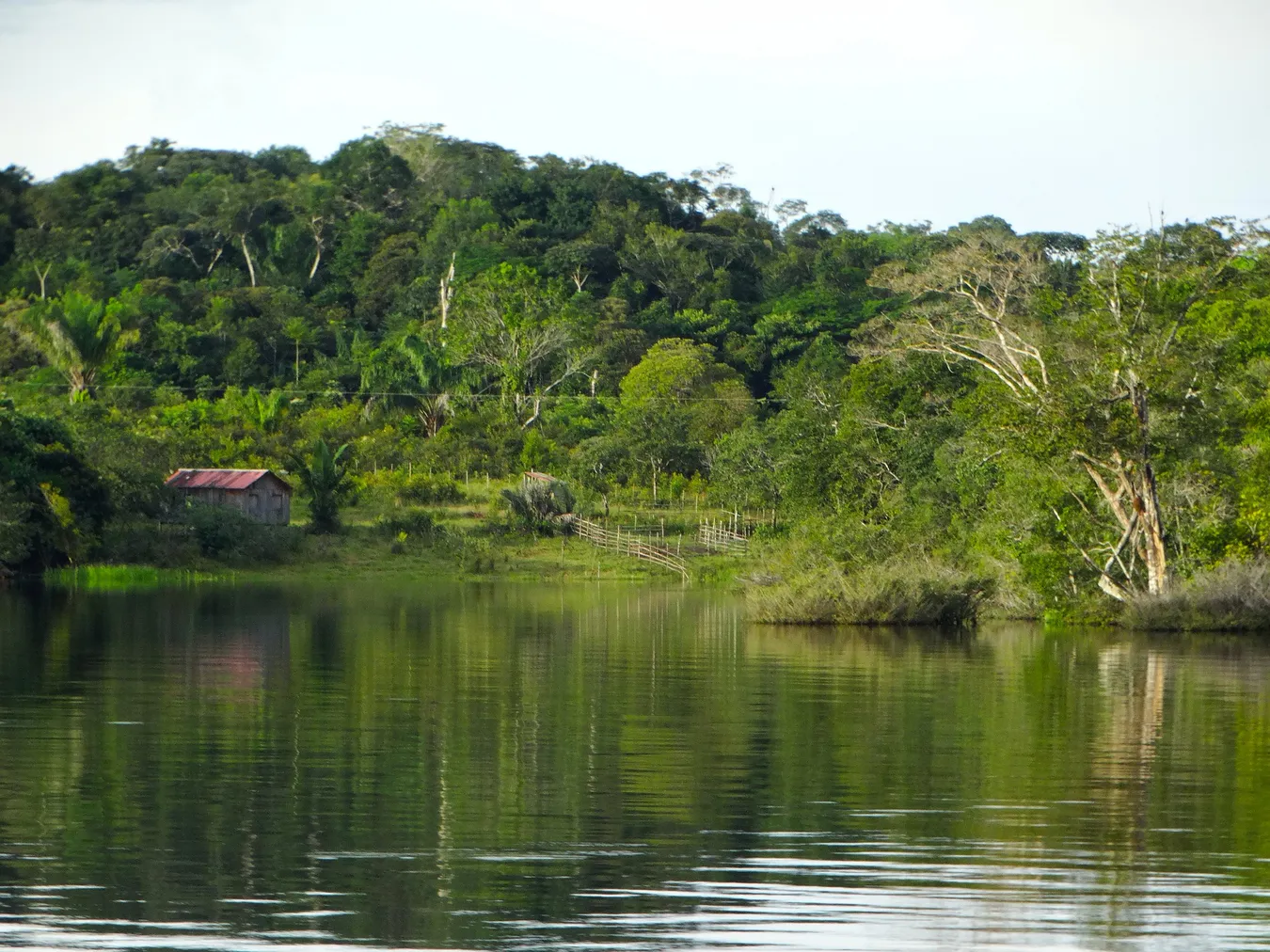 Amazonas en Perú