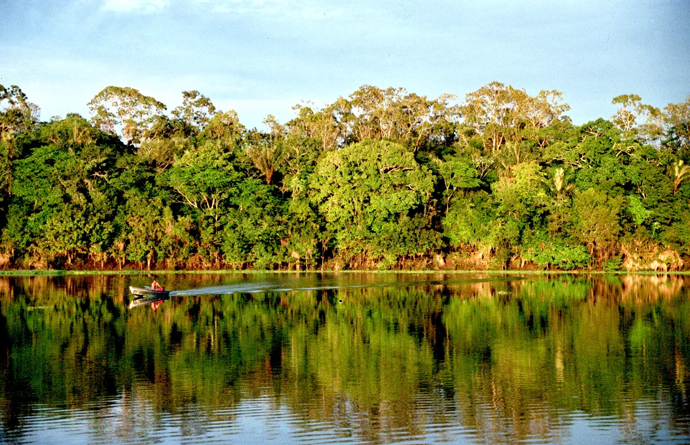 Imagen de Amazonia