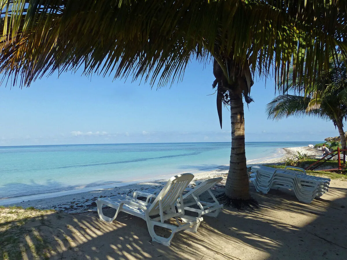 Una amaca y la palmera haciendo de sombrilla con el mar turquesa de fondo y arena blanca