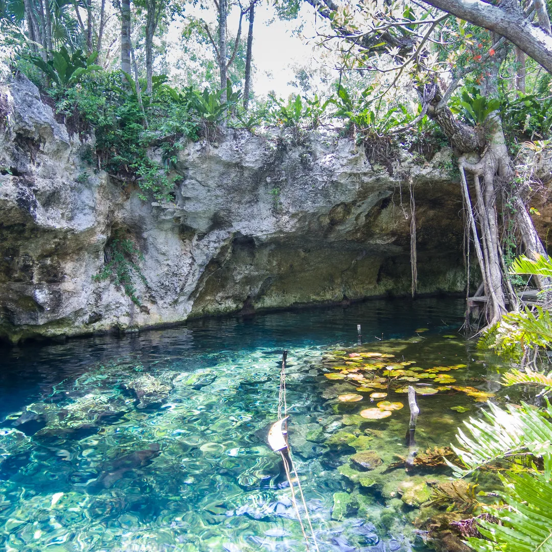 El Gran Cenote en Tulum.