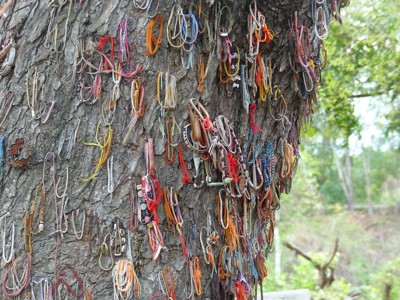 Imagen del árbol conmemorativo del memorial de Choeung Ek.