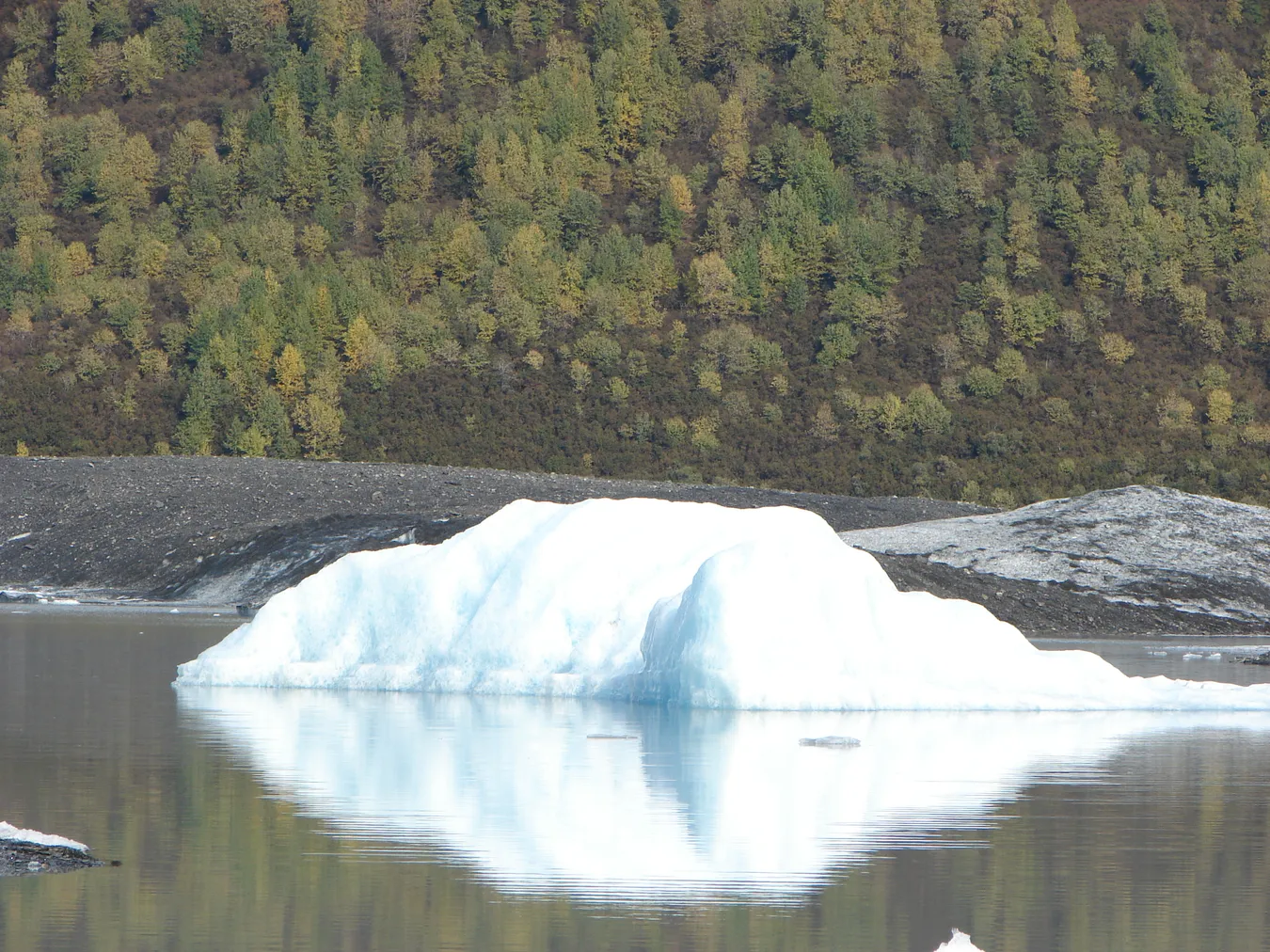 Glaciar Valdez