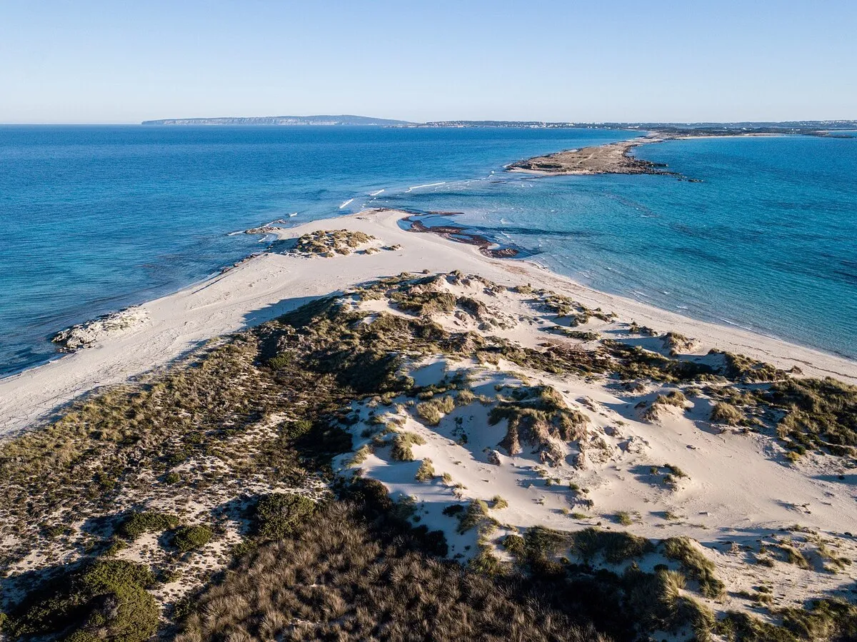 La playa de la isla de Es Palmador con arena blanca y agua color turquesa