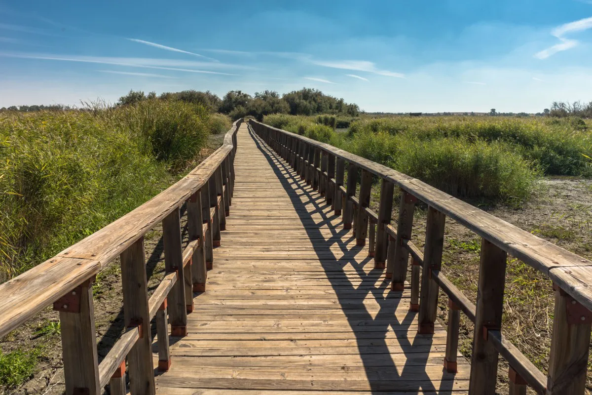 Puente de madera para pasear con la bici por el parque natural