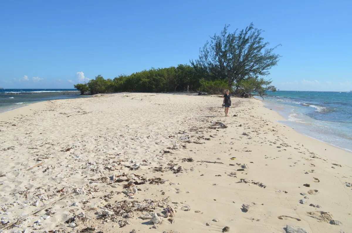 Panorámica de la isla con arena blanca y frondosa vegetación al fondo