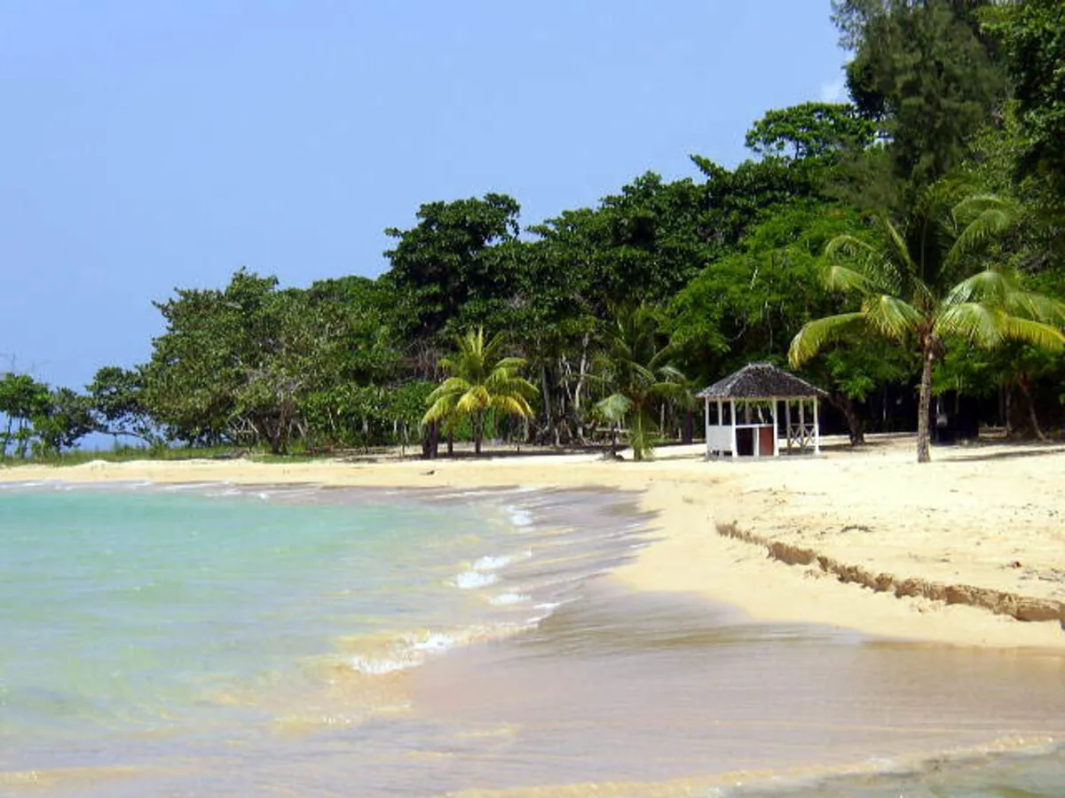 Playa paradisiaca con palmeras, frondosa vegetación y arena blanca