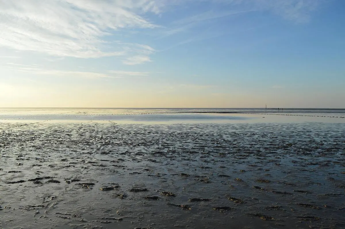Panorámica de los bajos de arena del mar wedden