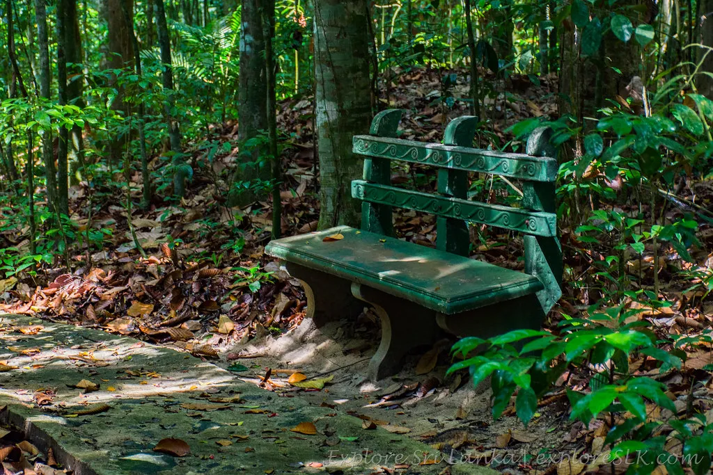 Parque Nacional Horagolla