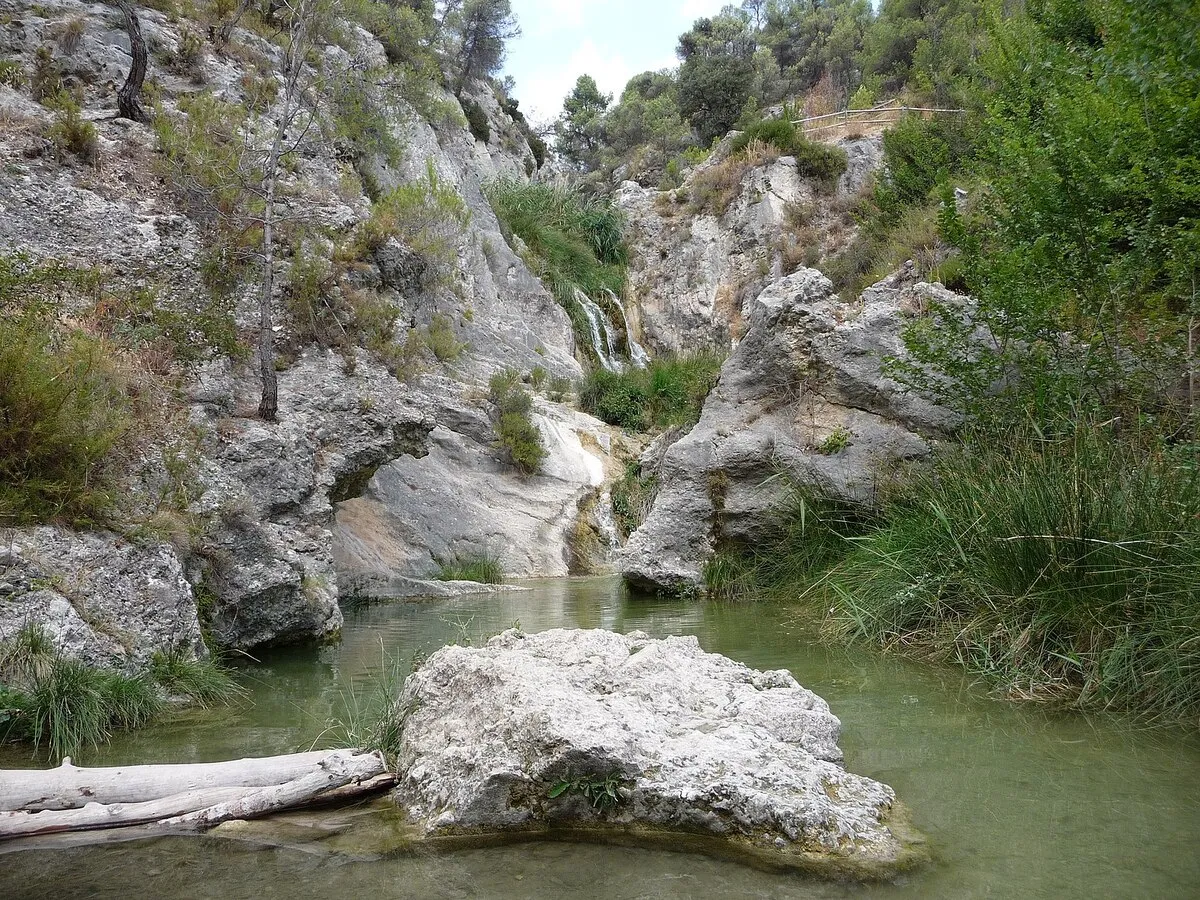 Uno de los lagos donde desembocan las pequeñas cascadas, con agua verdosa y rodeado de rocas y vegetación.