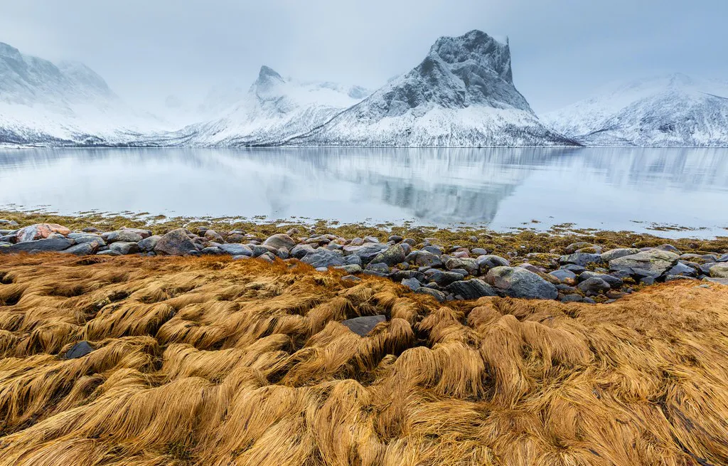 La isla de Senja