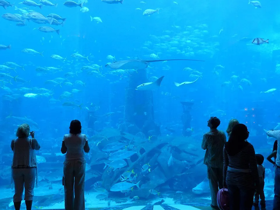 Acuario Atlantis de Dubai