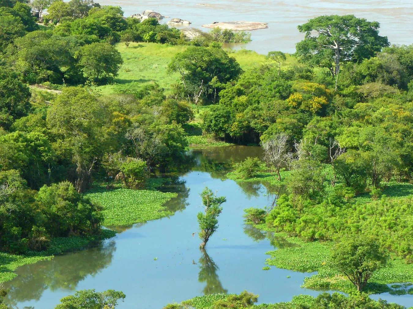 Laguna en el Amazonas.