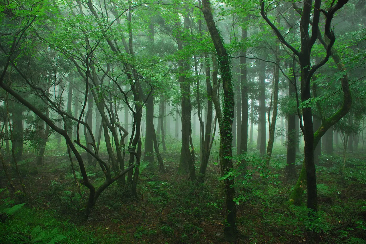 Bosque Ryeoni
