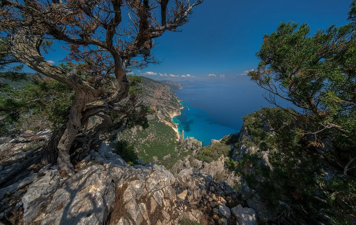 Vistas al mar desde el acantilado con vegetación frondosa