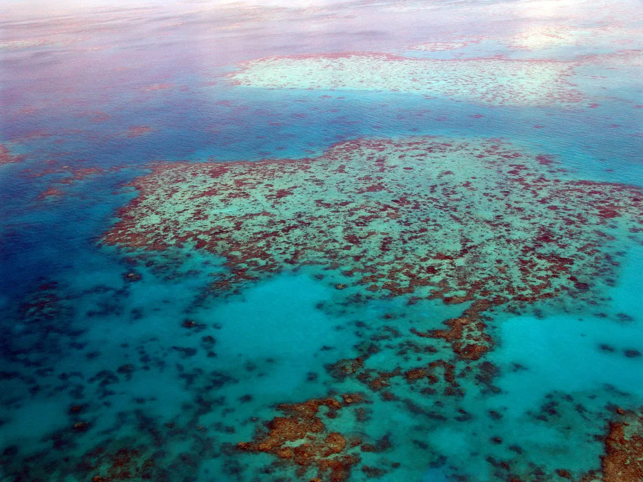 Vista aérea de la barrera de coral
