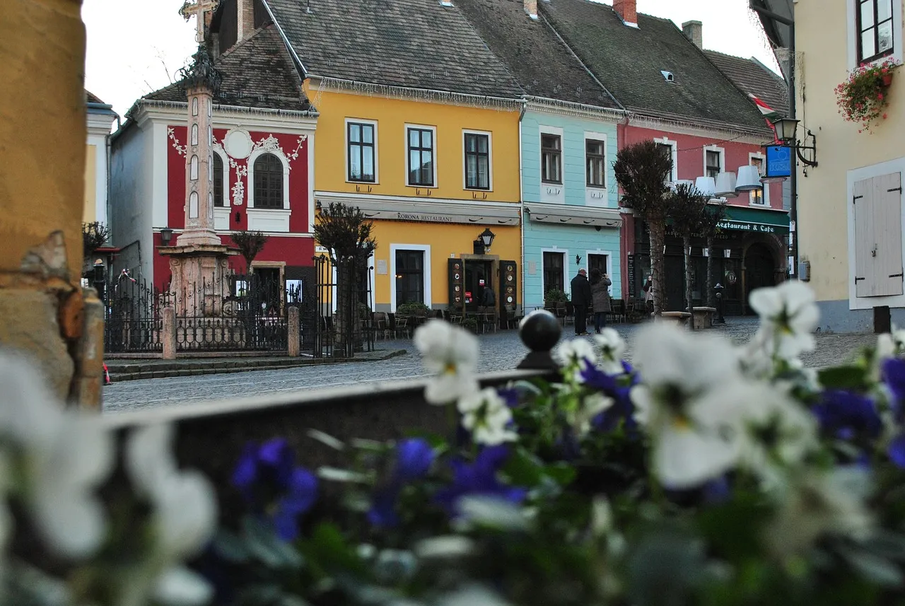 Flores en una calle de Szentendre