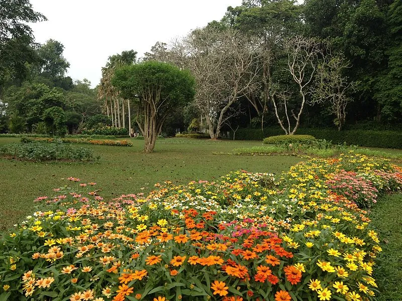 Jardín Botánico Henarathgoda en Gampaha