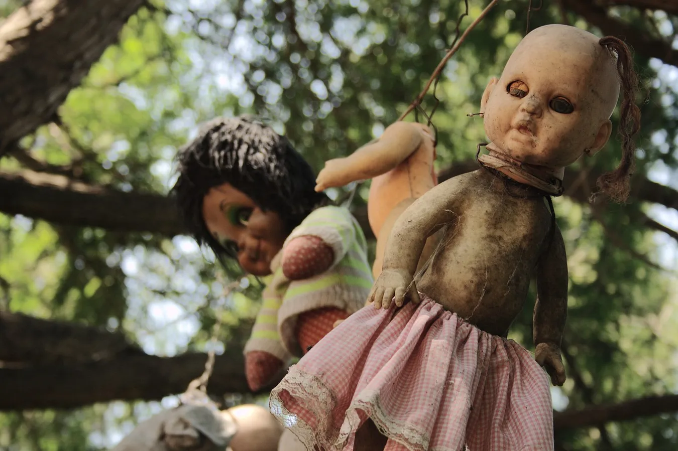 Muñecas colgadas de los árboles en Xochimilco