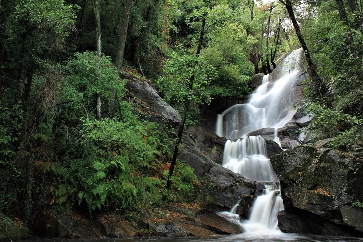 Las cinco cascadas que caen con gran fuerza fluvial en la garganta de las Nogaledas