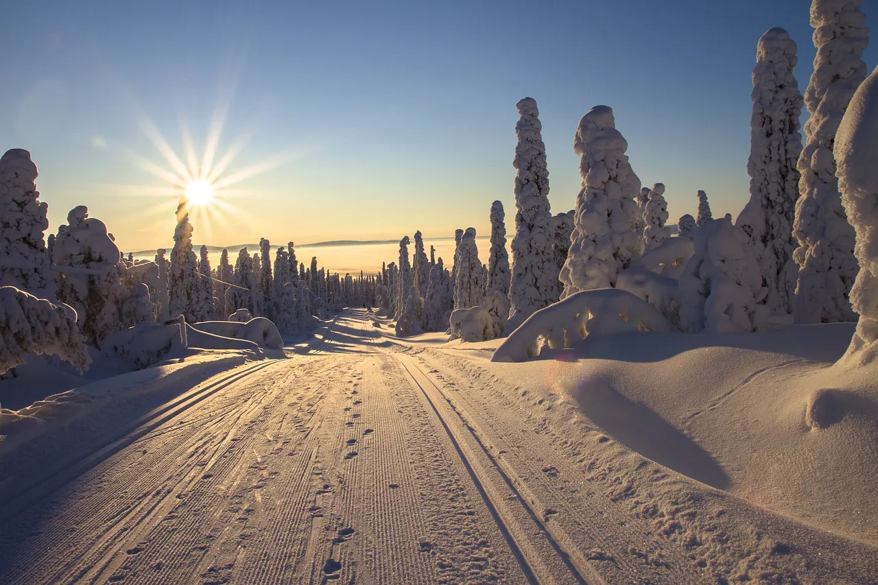 Imagen de La Laponia Noruega