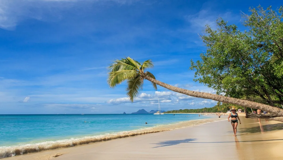 Vistas de una de las playas paradisiacas de la isla con una palmera tumbada