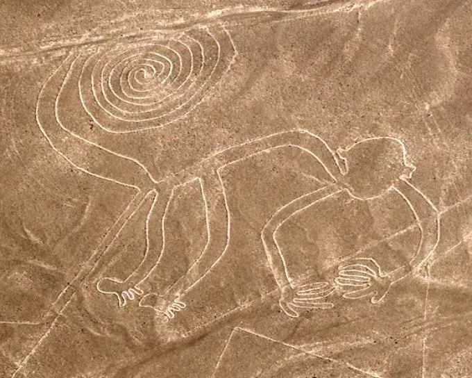 Mono de Nazca