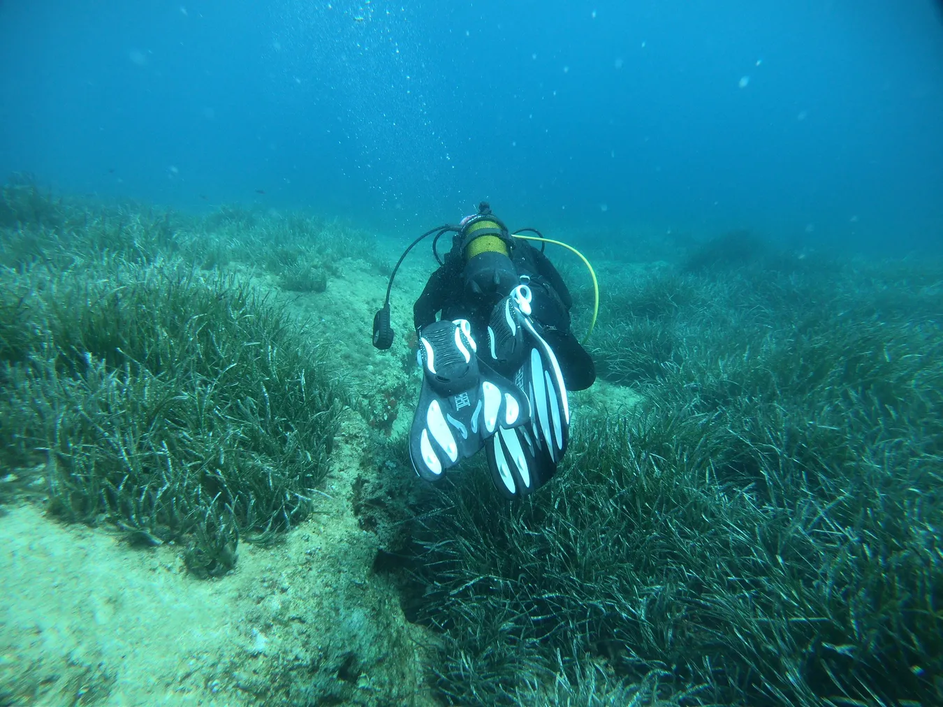 Curso de PADI en Karaburun