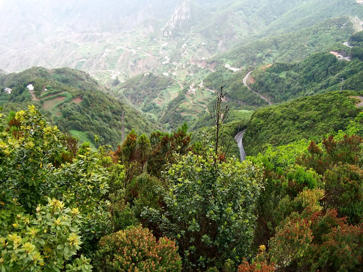 Vista panorámica del Parue de Anaga