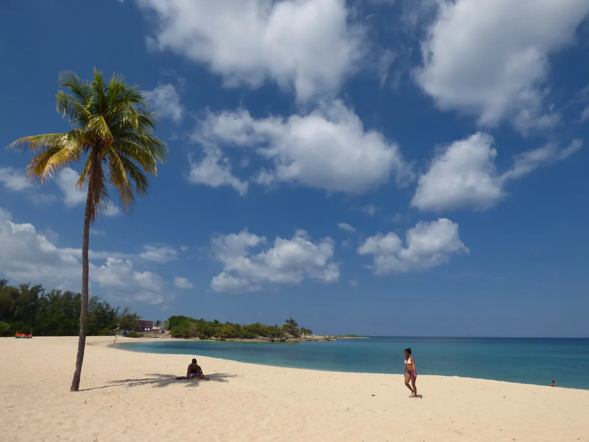 Panorámica de la playa con una gran palmera, arena blanca y aguas cristalinas