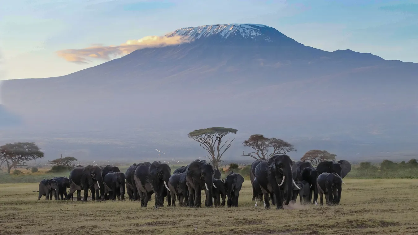 Safari en Parque nacional Amboseli