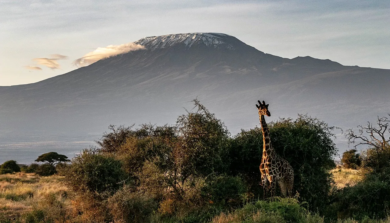 Imagen de Safari en Kenia