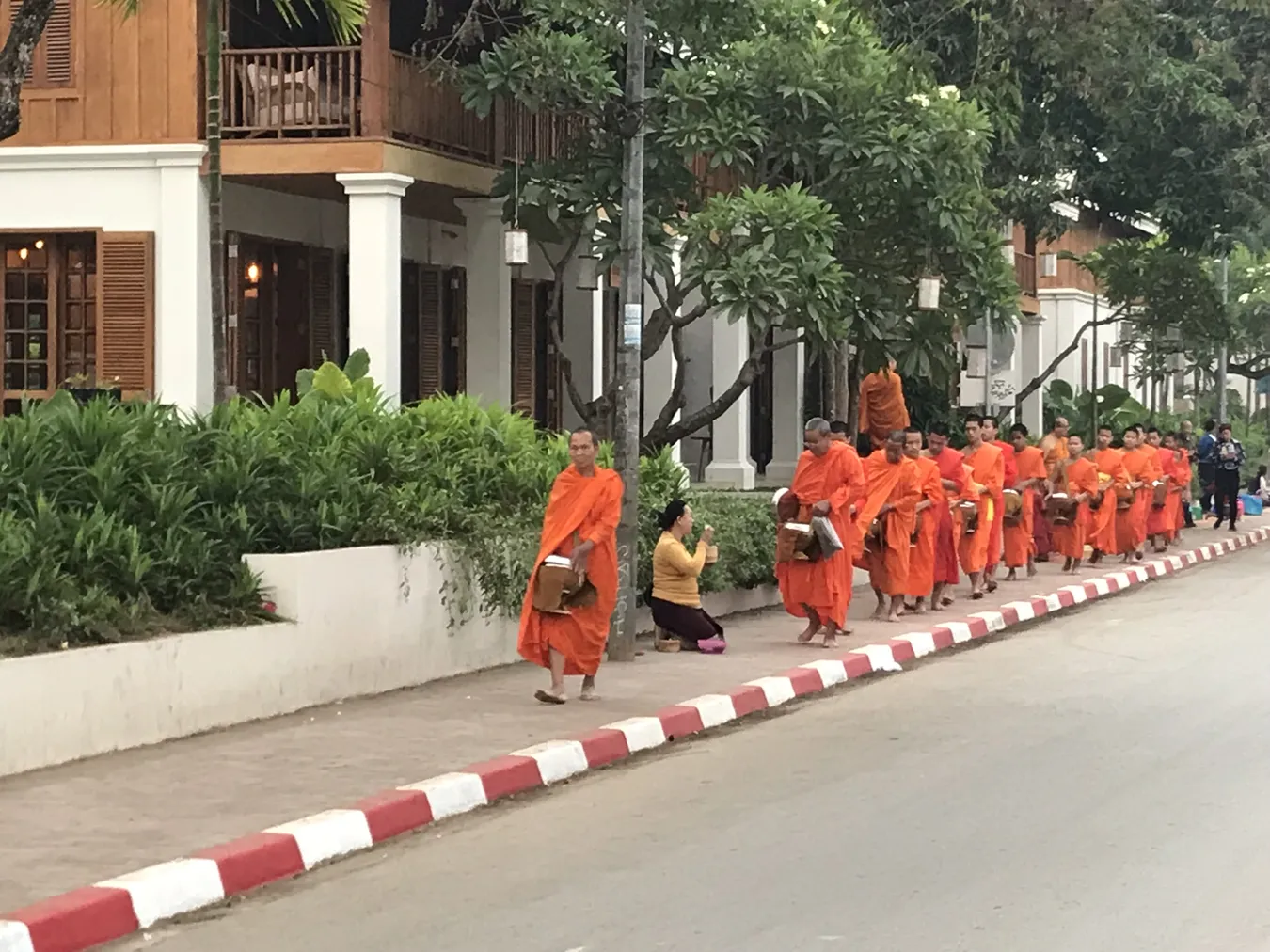 Monjes del Sai Bat de Luang Prabang