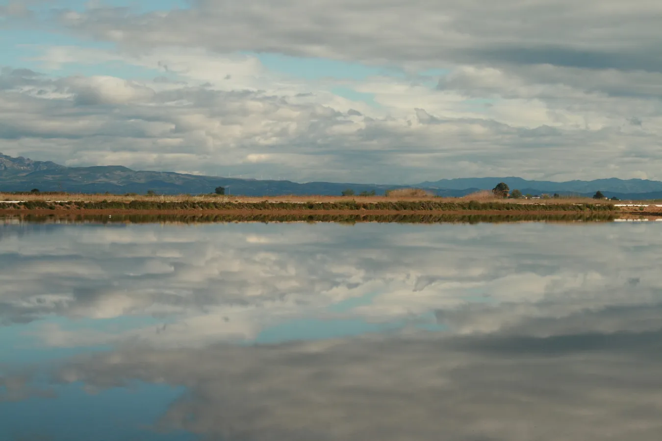Imagen de Visitar el Delta del Ebro