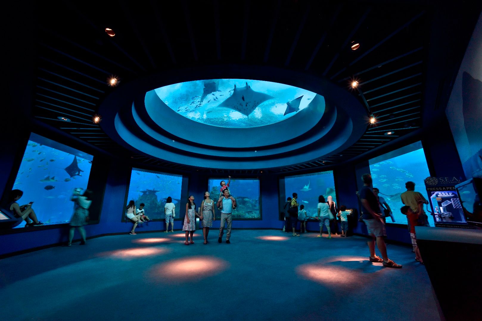 Imagen del tour: S.E.A. Aquarium VIP Tour Ticket