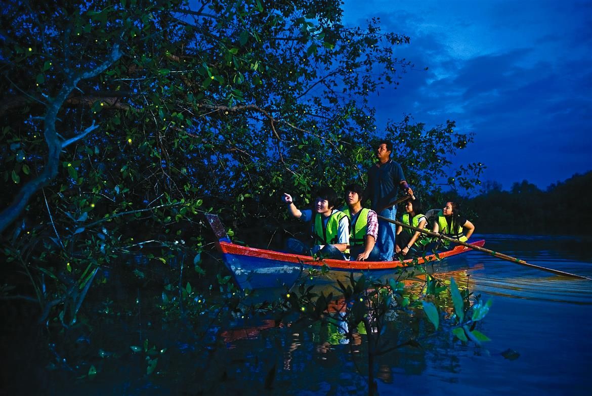Imagen del tour: Fireflies Boat Cruise Experience in Kuala Selangor