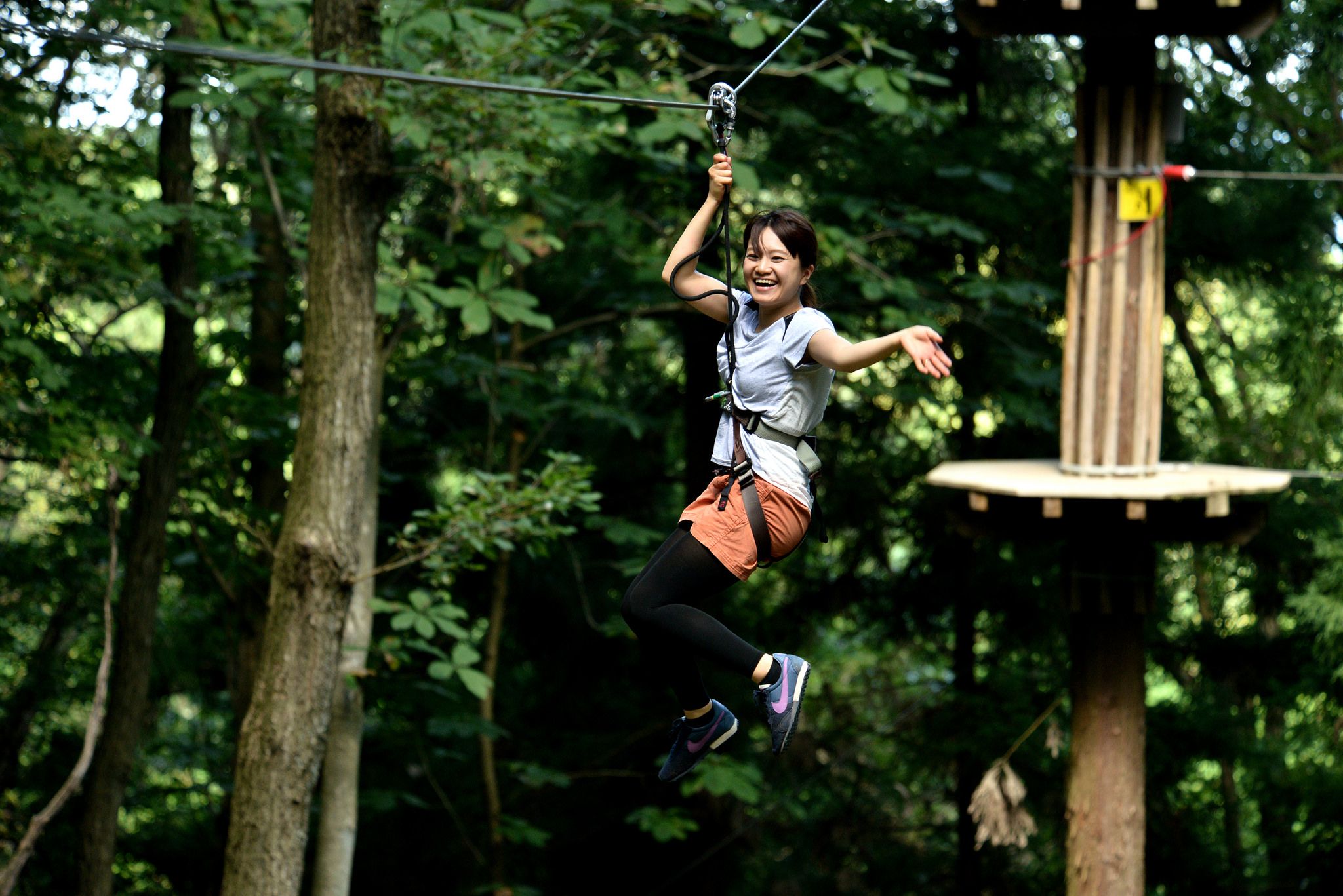 Imagen del tour: Adventure Park Bouken in Nose Treetop & Forest Segway Course in Osaka