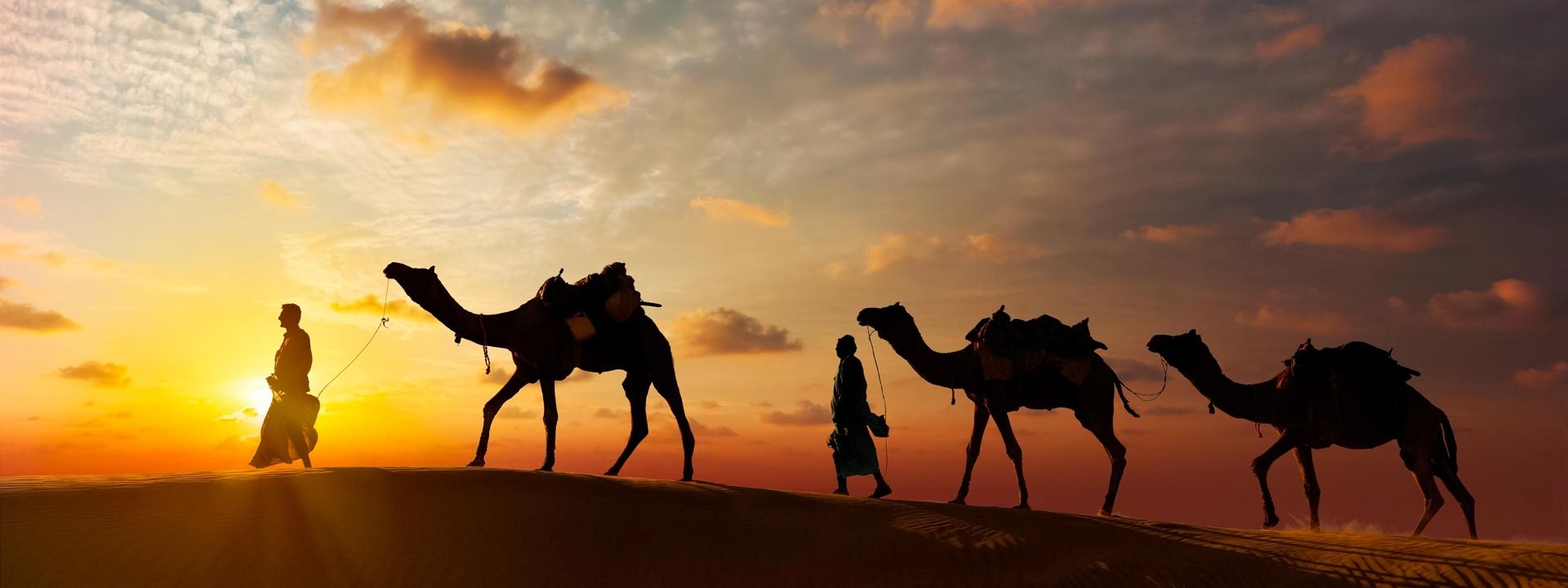Imagen del tour: Sunset Camel Safari Adventure In Pushkar
