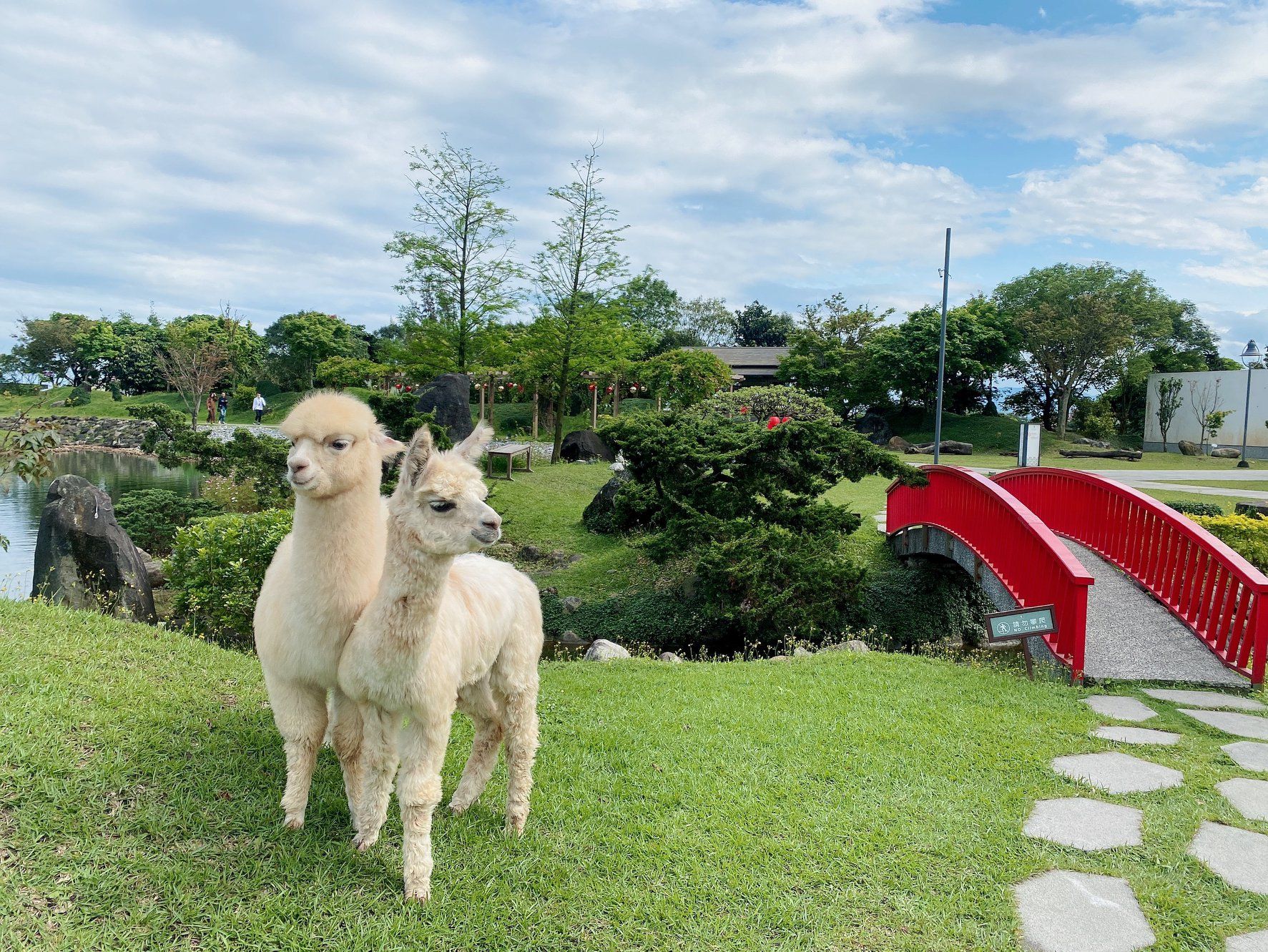 Imagen del tour: Dancewoods Japanese Garden Theme Park in Yilan