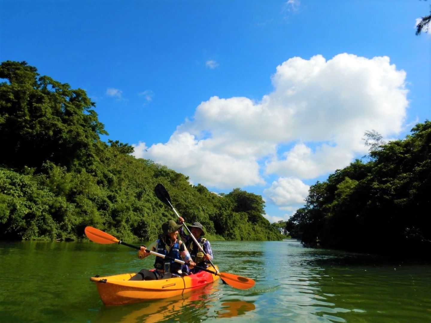 Imagen del tour: Mangrove Kayak Tour in Hijya River