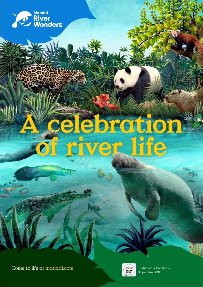 Imagen del tour: River Safari de Singapur con la atracción Amazon River Quest