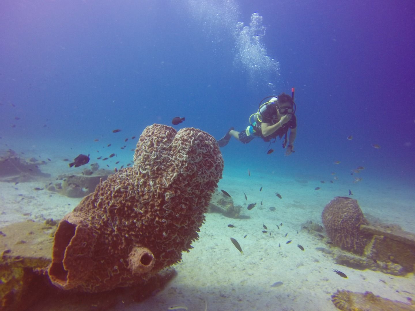 Imagen del tour: Try Scuba Experience at Redang Island