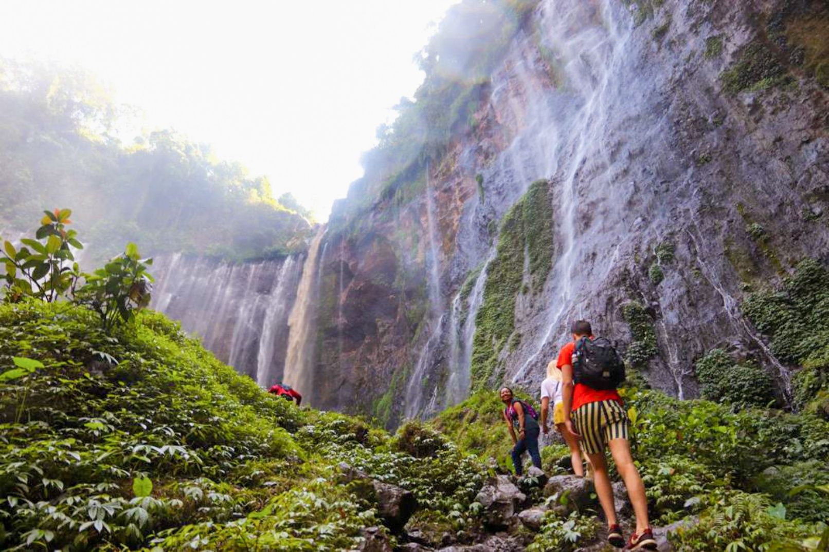 Imagen del tour: Tumpak Sewu and Goa Tetes Waterfall Trekking Experience from Malang