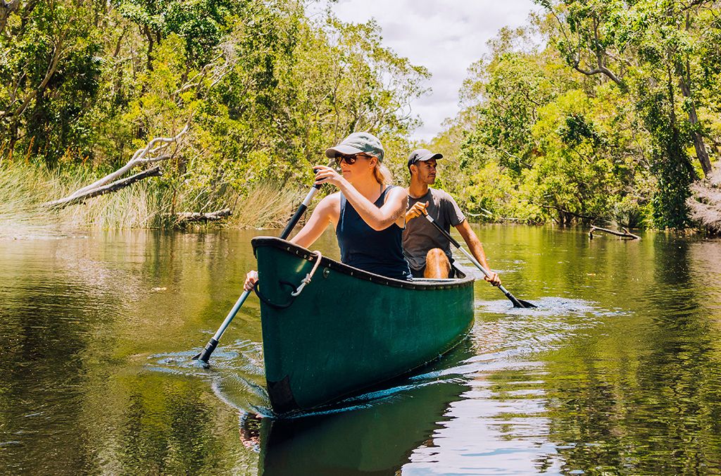 Imagen del tour: Noosa Everglades Eco Safari Cruise and Canoe