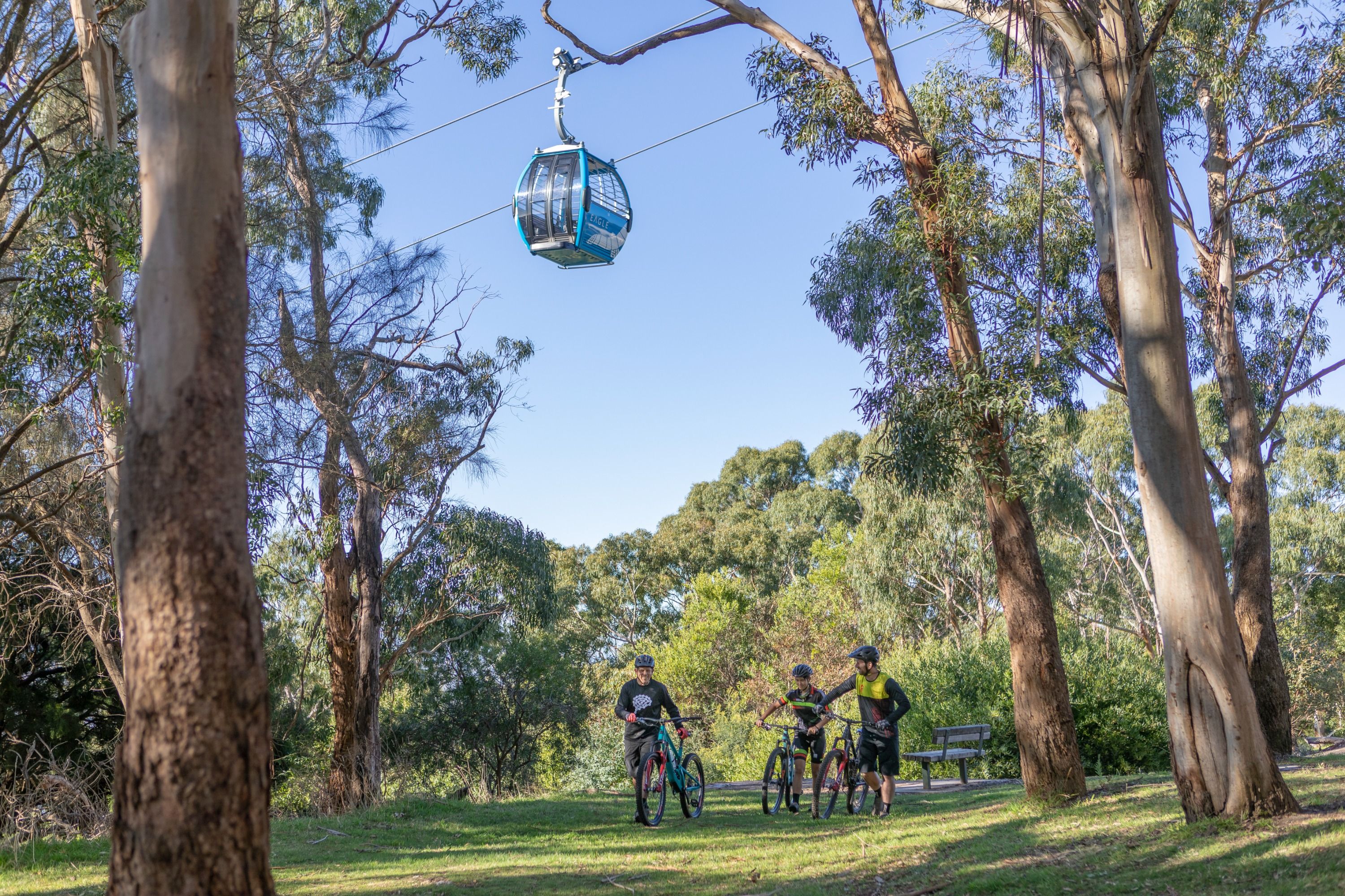 Imagen del tour: Full Day Red Hill Rail Trail Route-Pedal & Picnic 