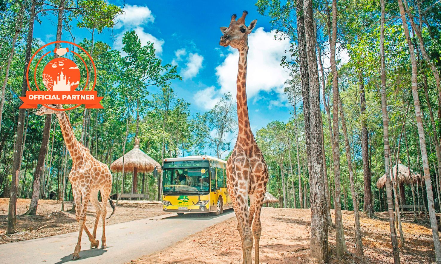 Imagen del tour: Entrada para el parque Vinpearl Safari en Phu Quoc