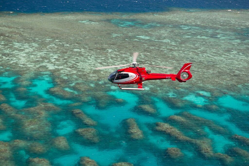 Imagen del tour: Great Barrier Reef Snorkel, Dive and Helicopter Flight Full Day Tour