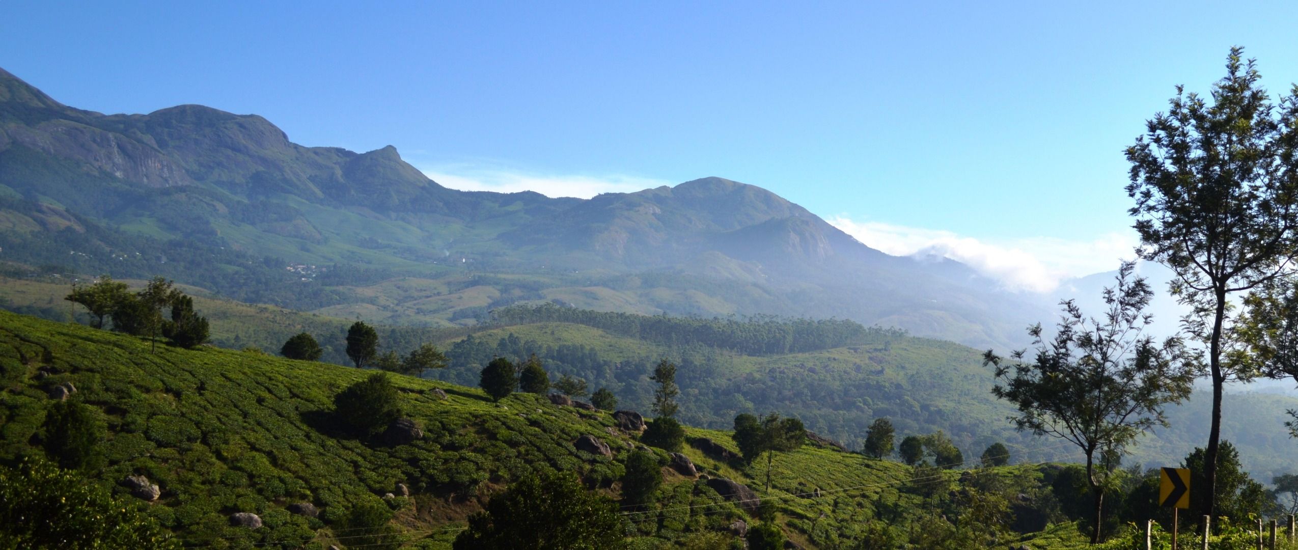 Imagen del tour: Lakshmi Hills Trekking from Munnar