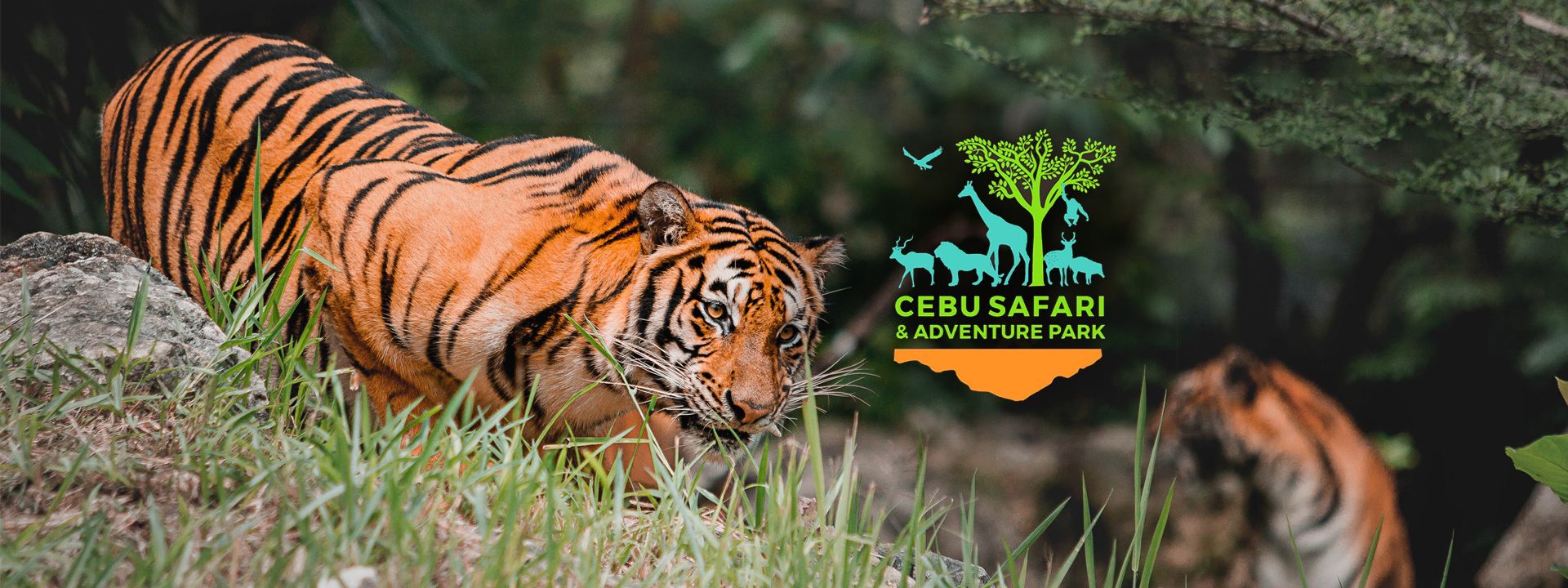 Imagen del tour: Cebu Safari and Adventure Park Ticket in Cebu