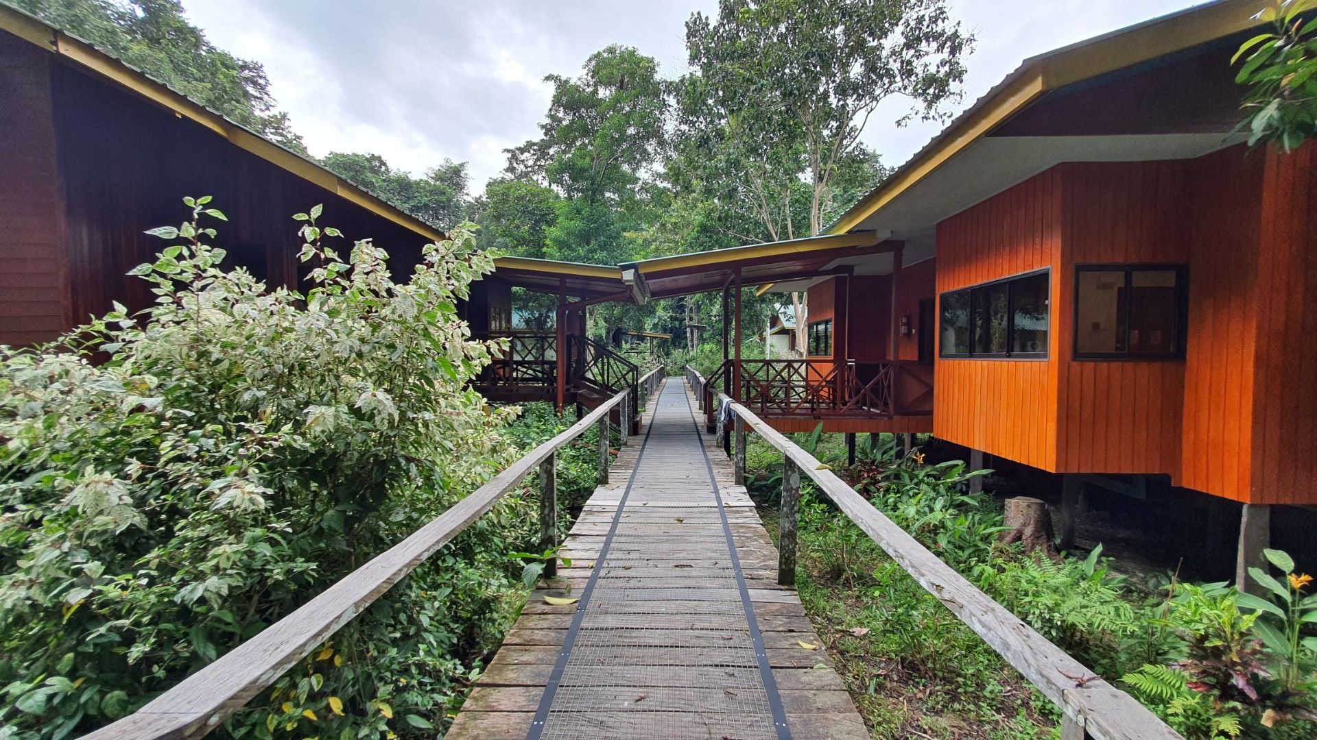 Imagen del tour: 3D2N Discover Kinabatangan River with stay at Bilit Adventure Lodge in Sandakan