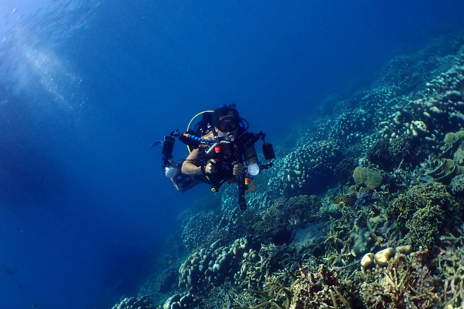 Imagen del tour: Tioman Island Leisure Diving Packages with Stay at Tioman Dive Resort